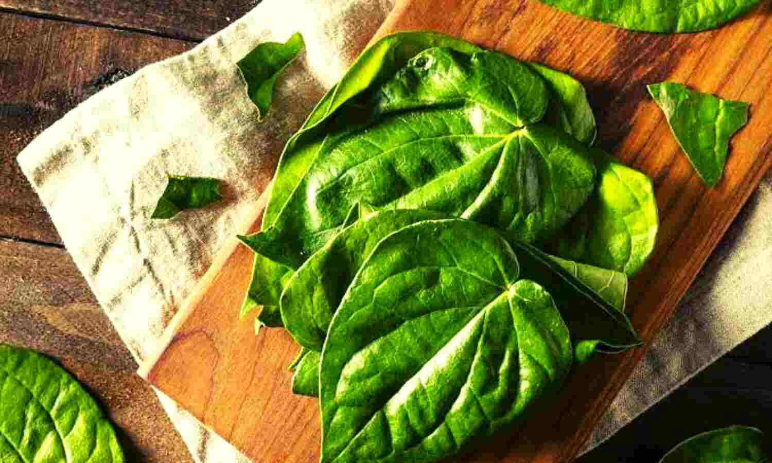 benefits-of-betel-for-health-betel-benefits-6