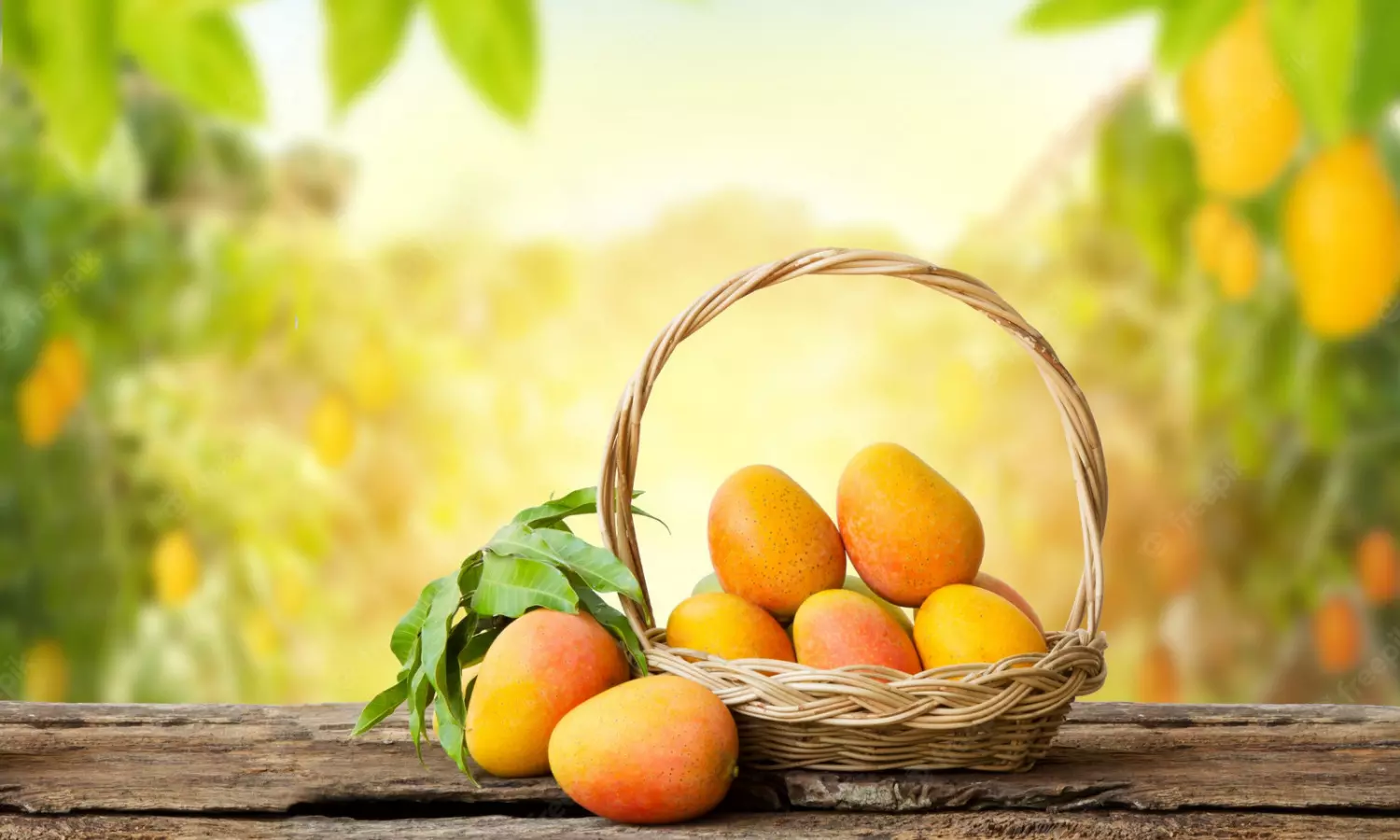 Side effects of Mango