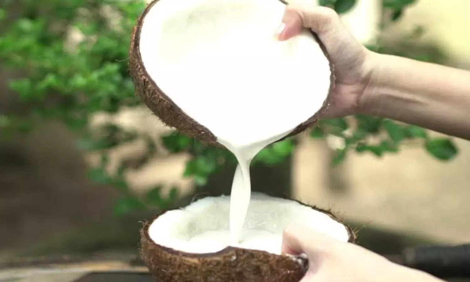 Benefits of Coconut Milk