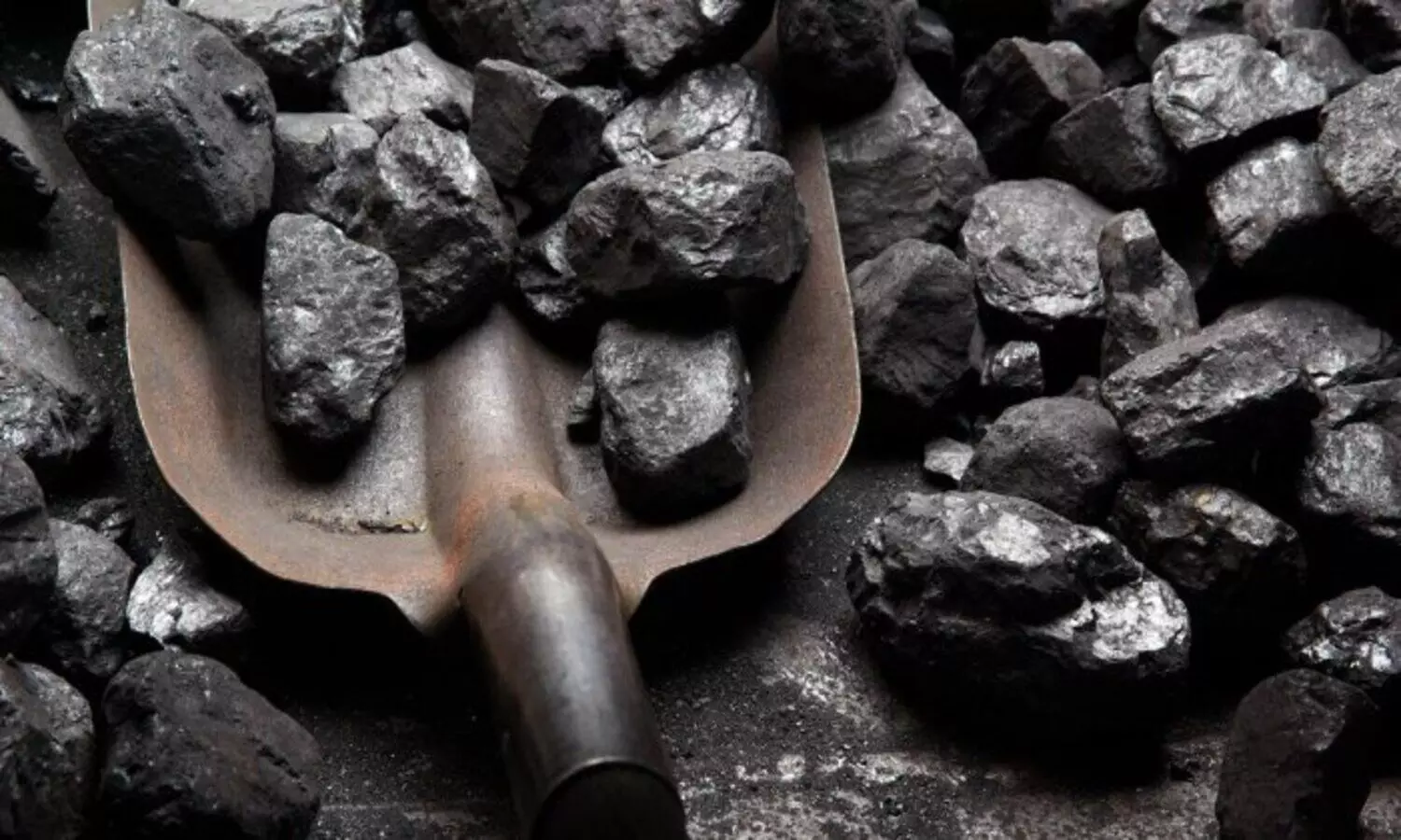 coal import
