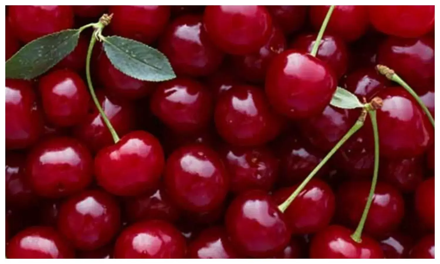 Cherries Benefits