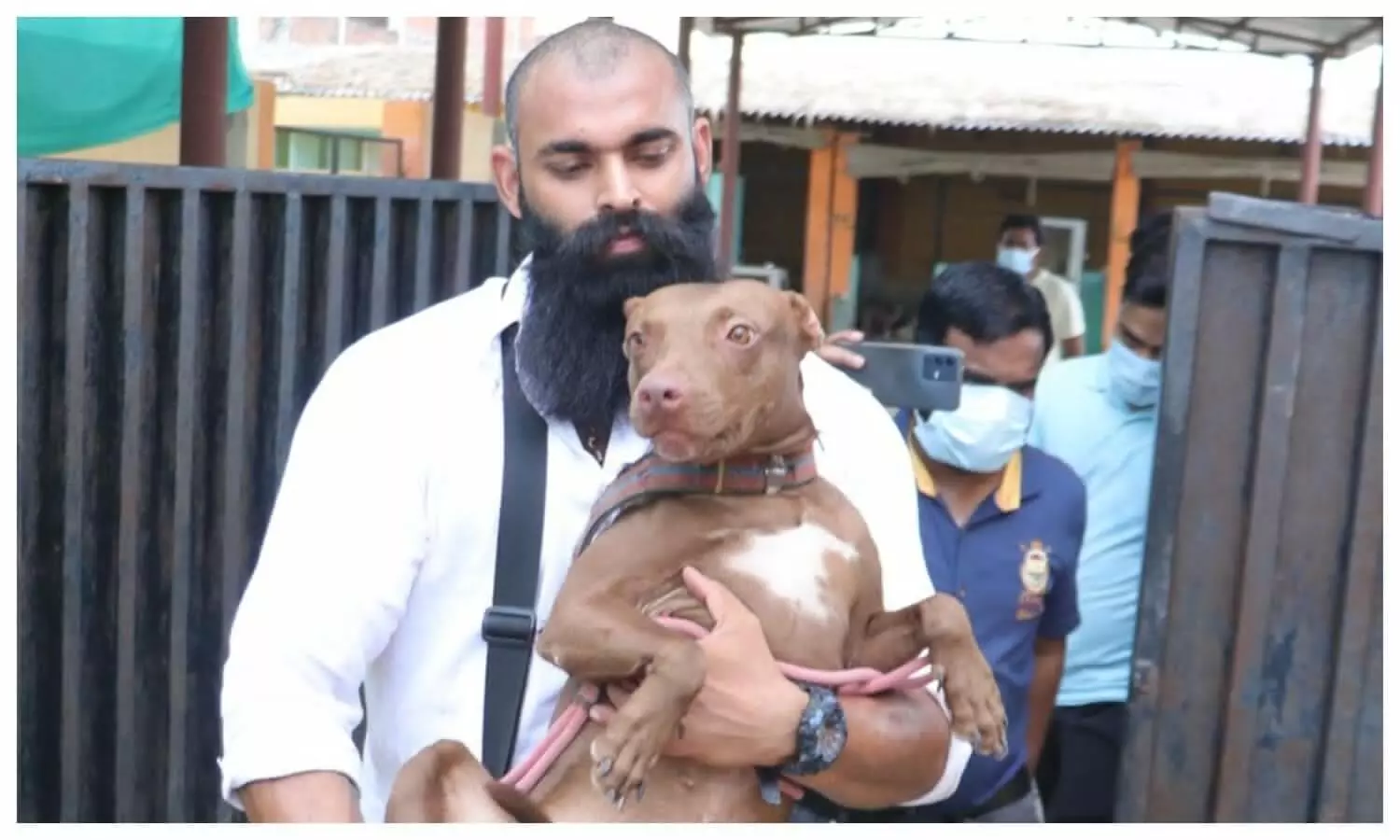 Lucknow Pitbull Dog Case