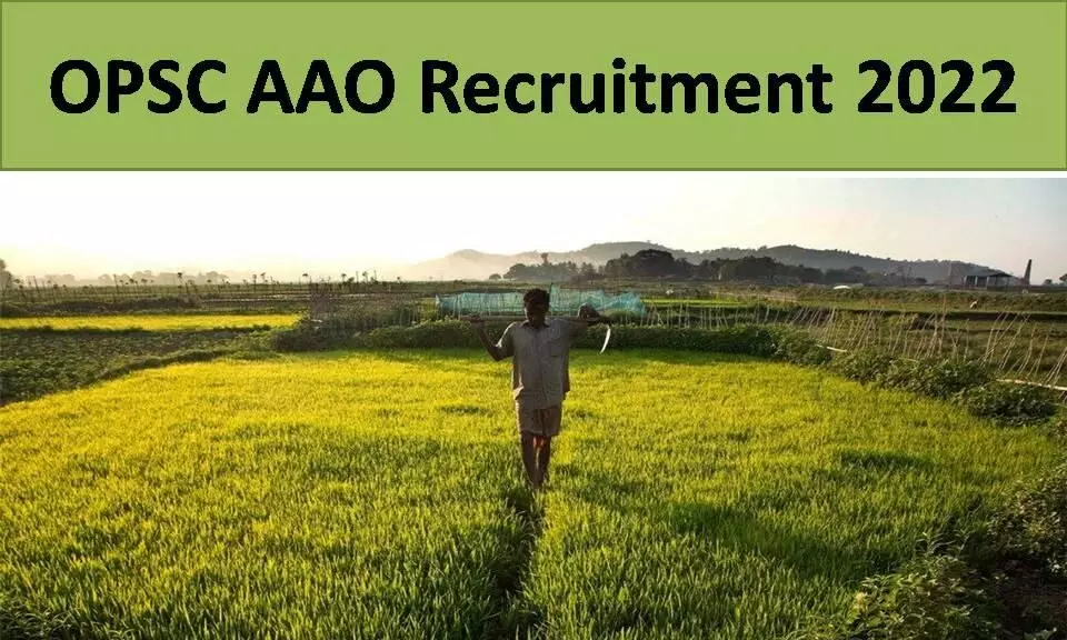 opsc aao recruitment 2022 vacancy for assistant agriculture officer 261 posts see details
