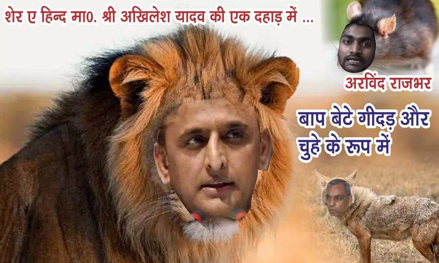 SPs poster war going on in Varanasi Kashi, lion to Akhilesh, Rajbhar father-son Jackle, Rat