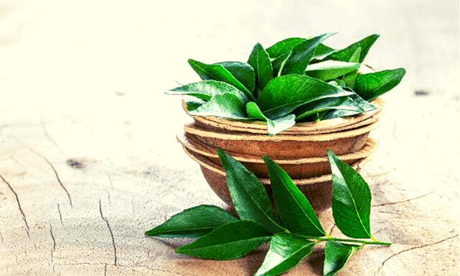 Weight Loss Tips: If you want to lose weight fast, then consume curry leaves