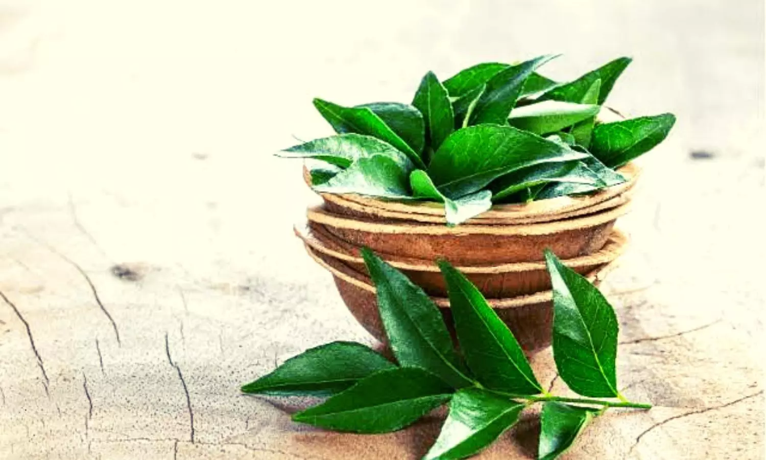 Benefits of Curry Leaves for Health