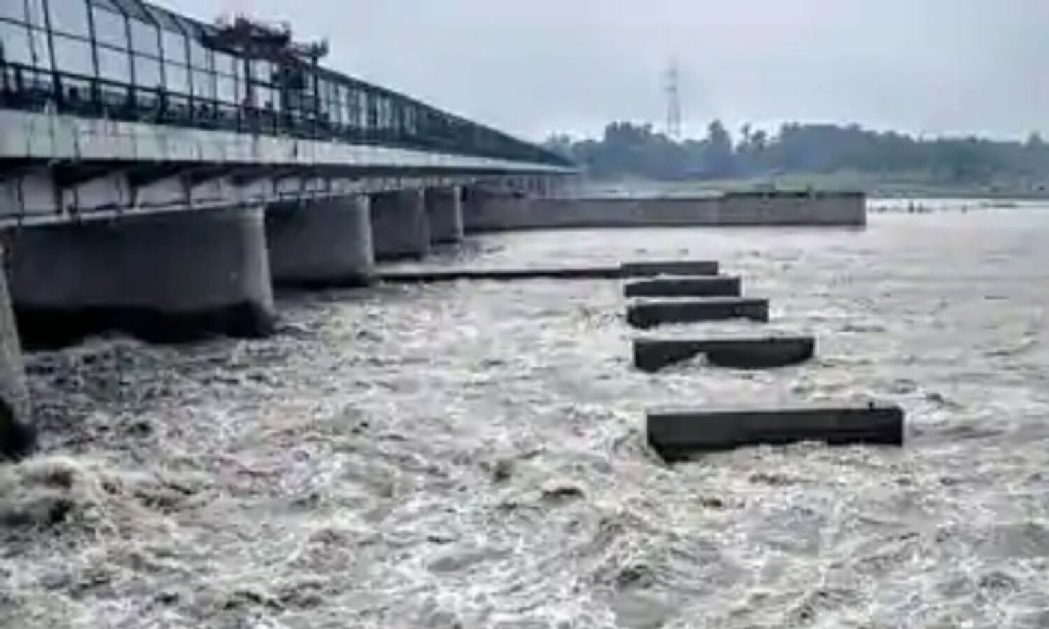 Delhi Yamuna River Alert: Yamuna rises in Delhi, low-lying areas may drown in next 48 hours