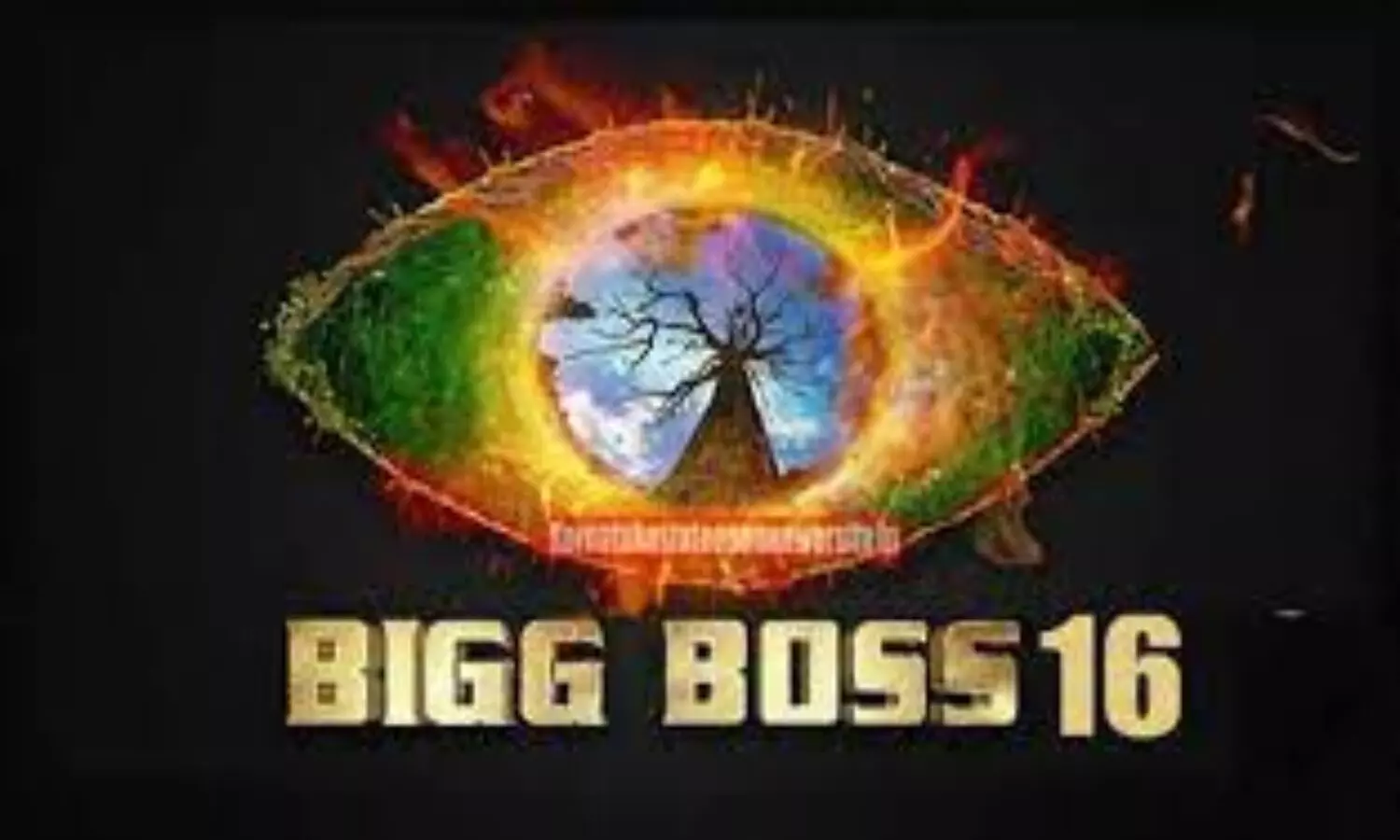 Bigg Boss 16