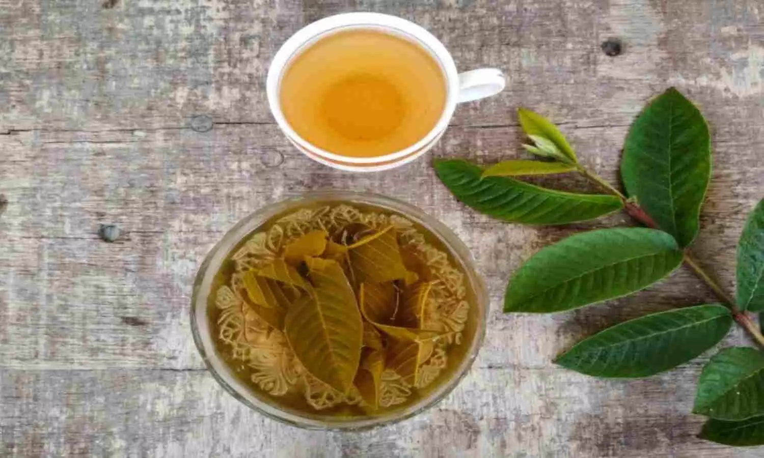 Benefits of Guava Leaf Tea