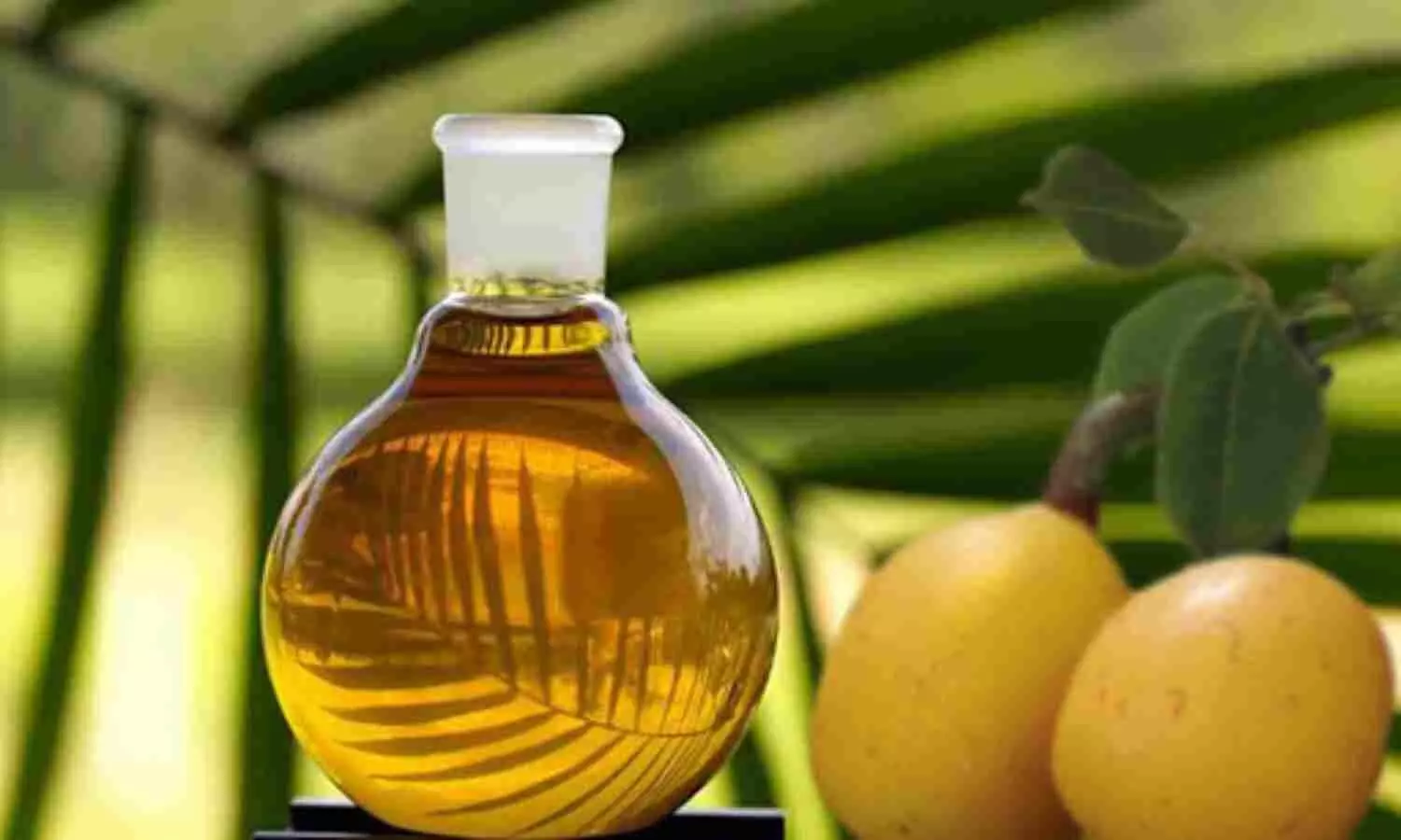 Marula Oil Advantages