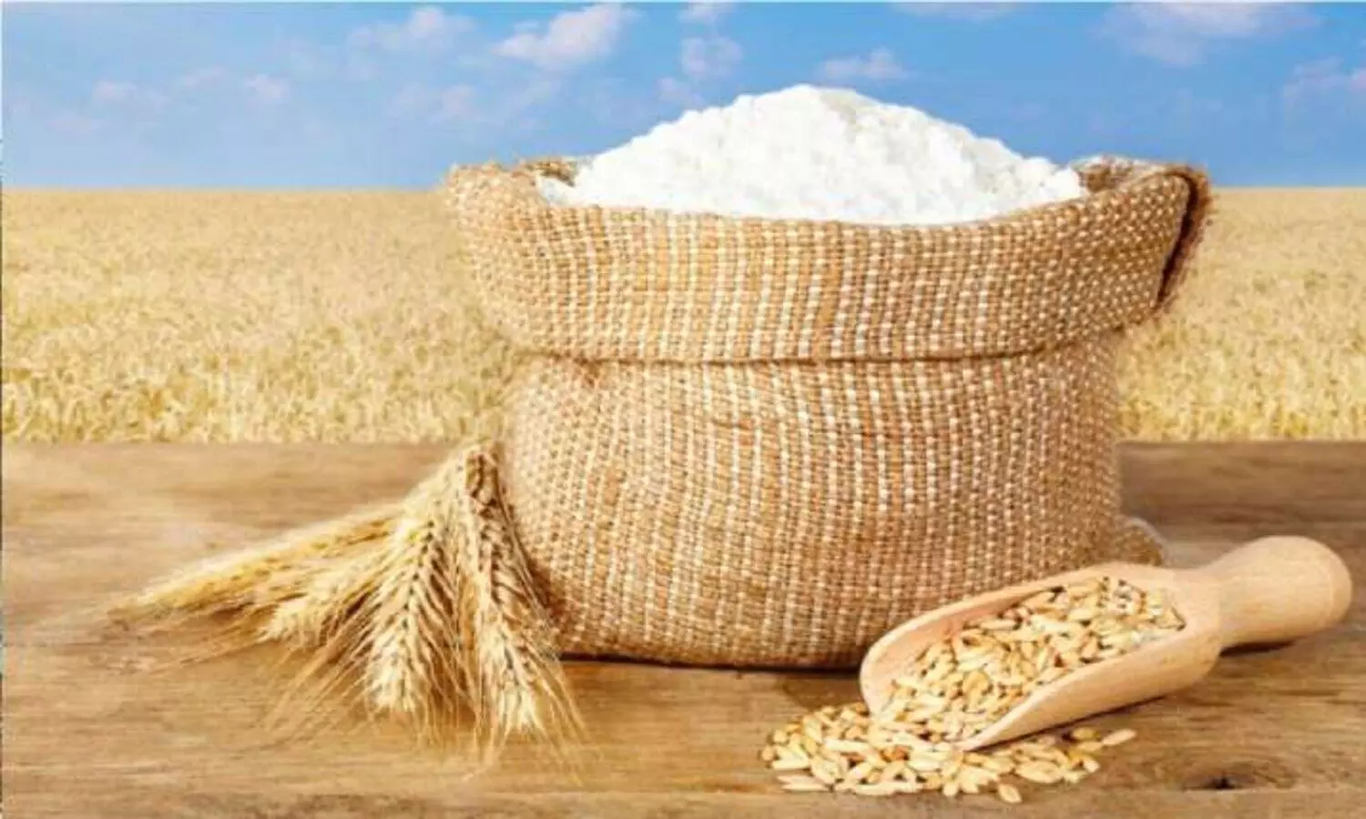 Wheat Flour Export Ban