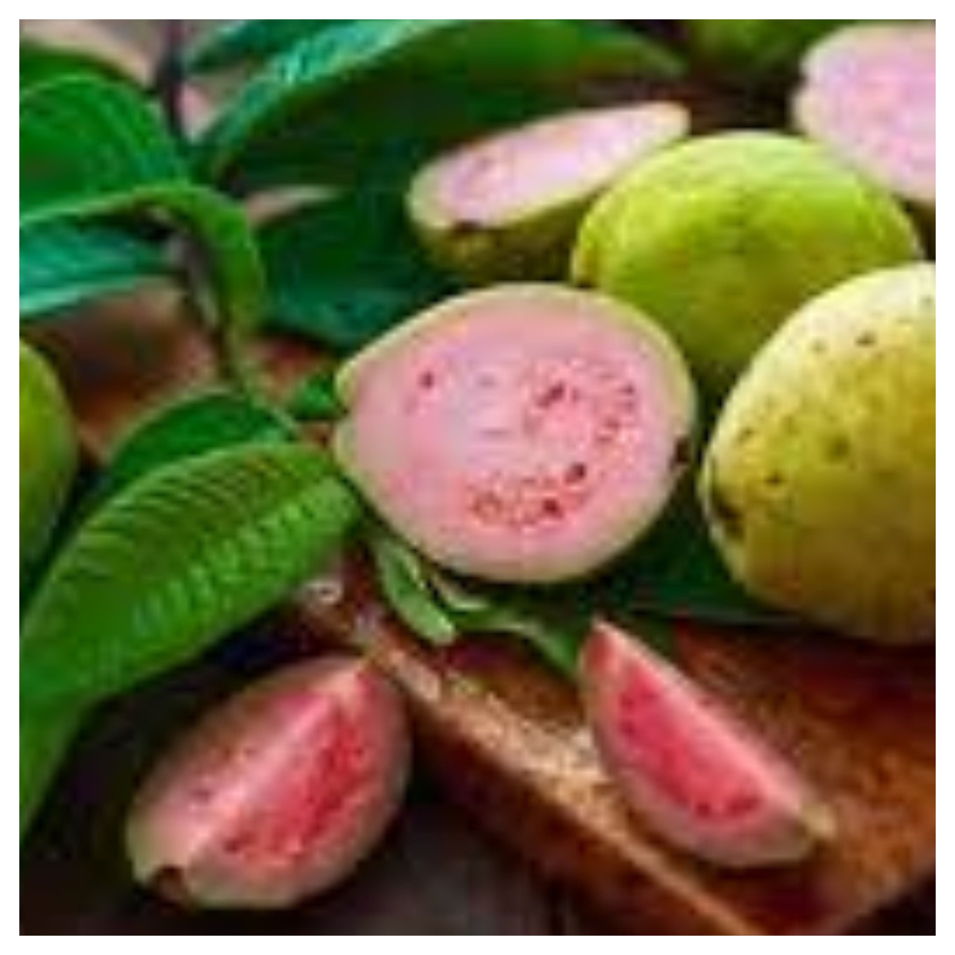 Guava Leaves Benefits: Guava leaves increase the fertility of men, use it like this, then see its amazing