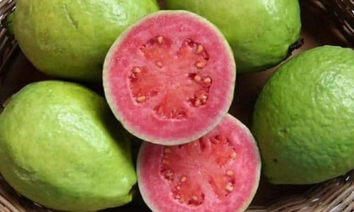Yogi Government is trying to save the existence of Allahabadi Guava