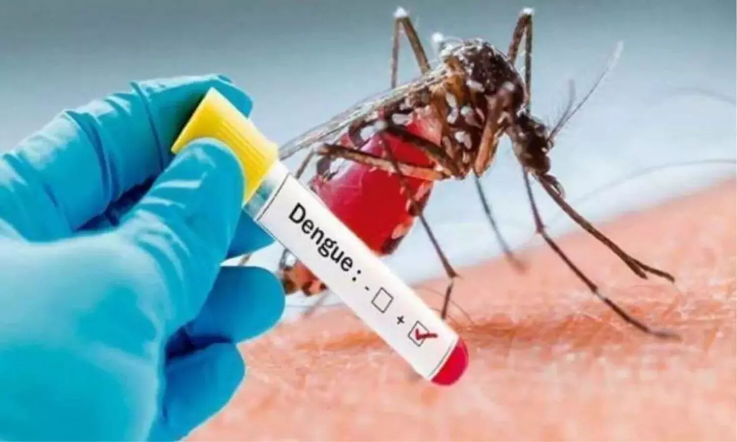 dengue in Pakistan