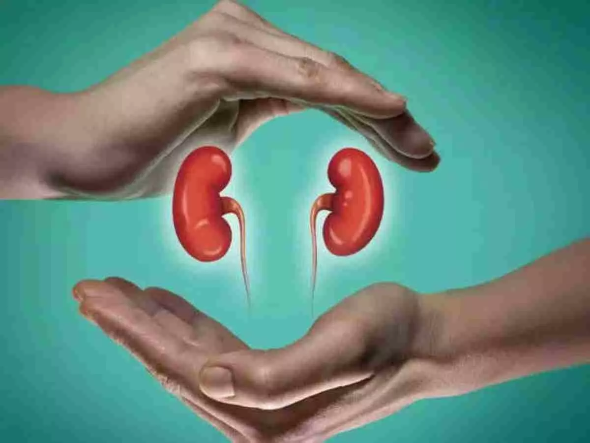 Kidney Damage Symptoms and Signs