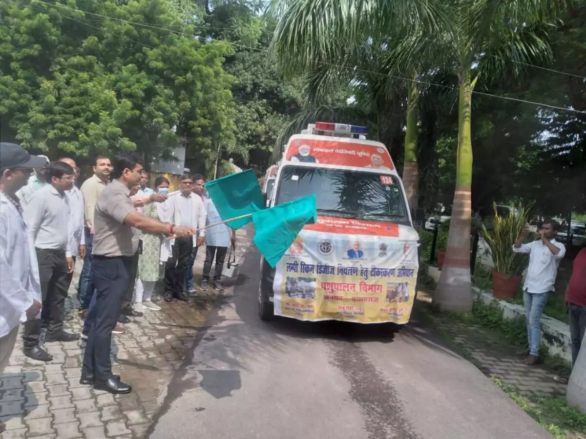 Prayagraj News District Magistrate started vaccination campaign prevent lumpi infection