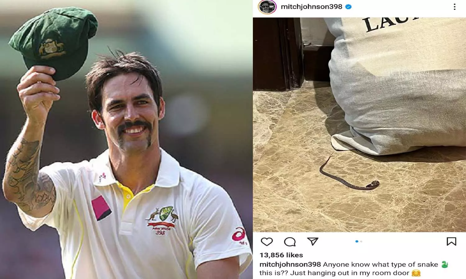 A snake came out in the room of famous Australian fast bowler Mitchell Johnson staying at Hotel Taj in Lucknow.