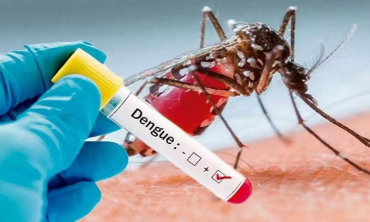 Dengue cases rising in Delhi
