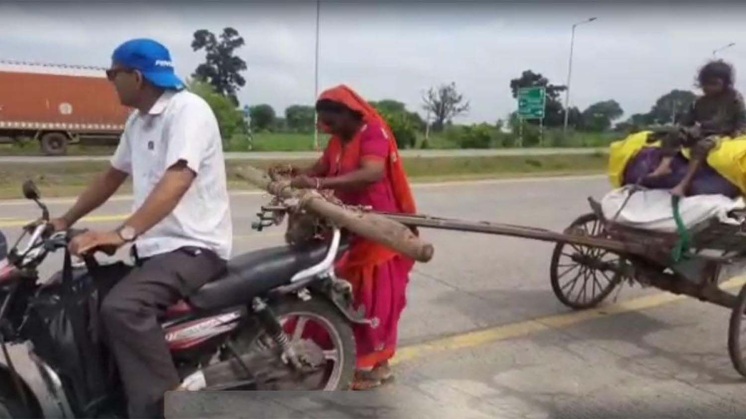 MP News Today: Hungry widow woman pulling bullock cart and girl sitting, teacher ran on seeing