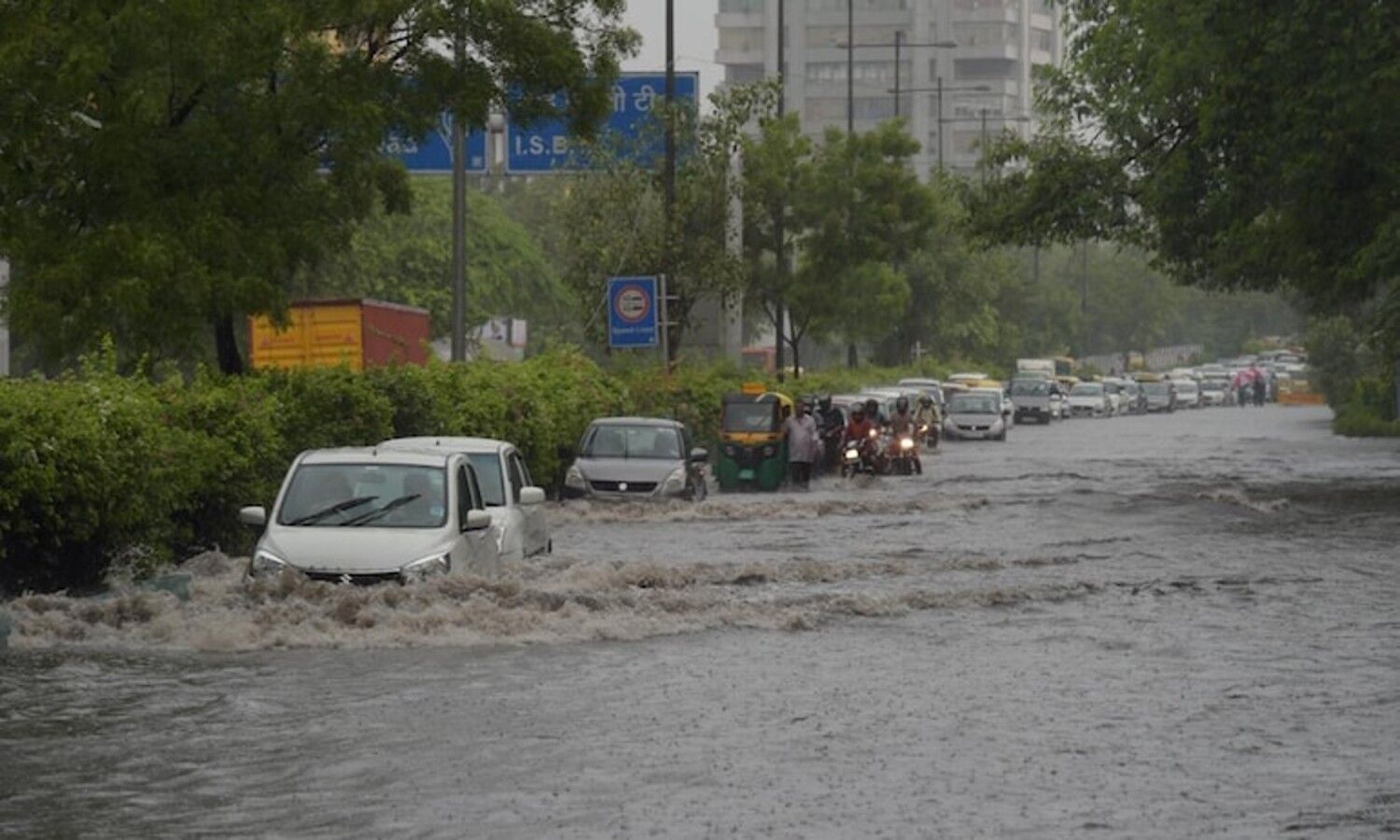 delhi-traffic-police-advisory-today-waterlogging-fallen-trees-potholes