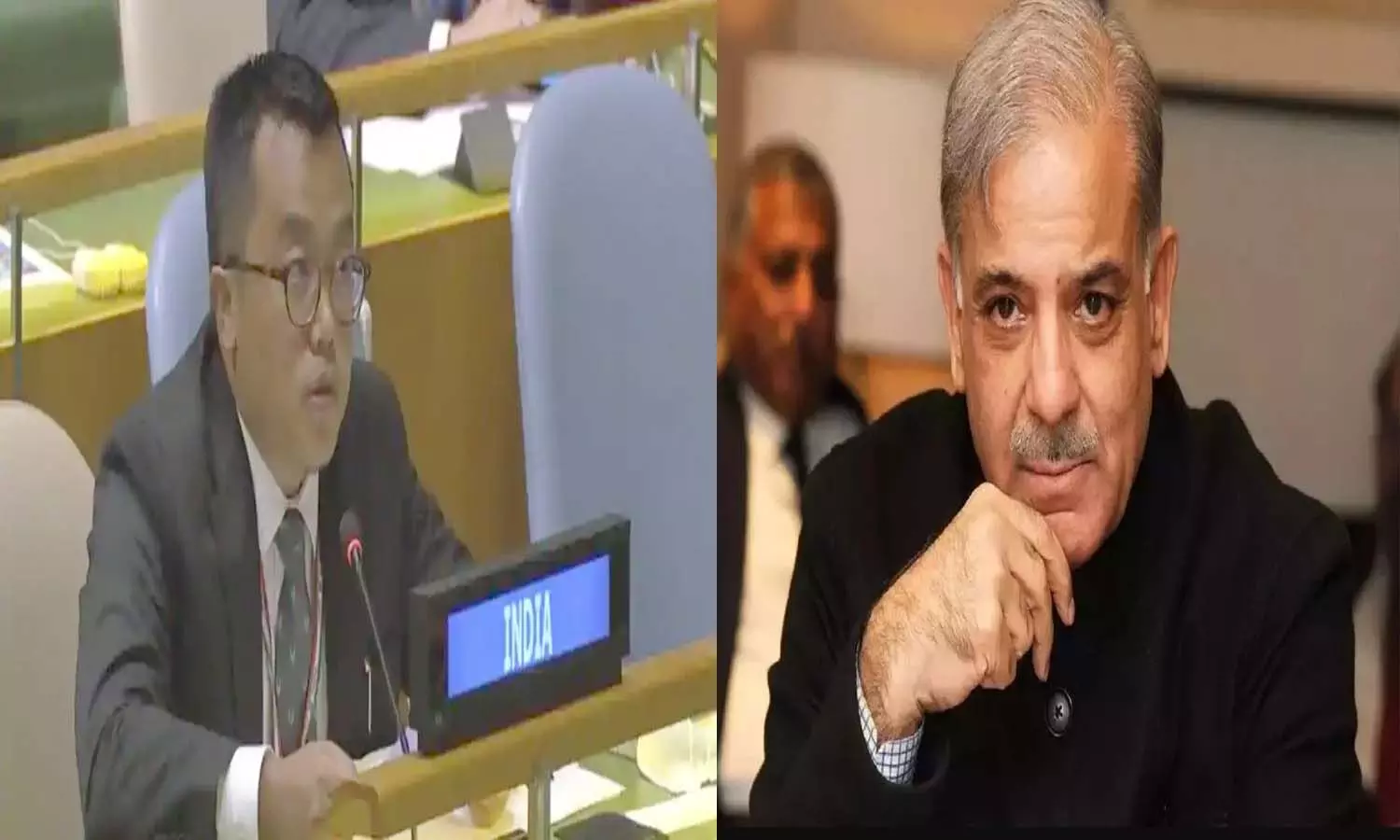 In UN, India gave a befitting reply to Pakistan, surrounded on cross-border terrorism, advice for introspection