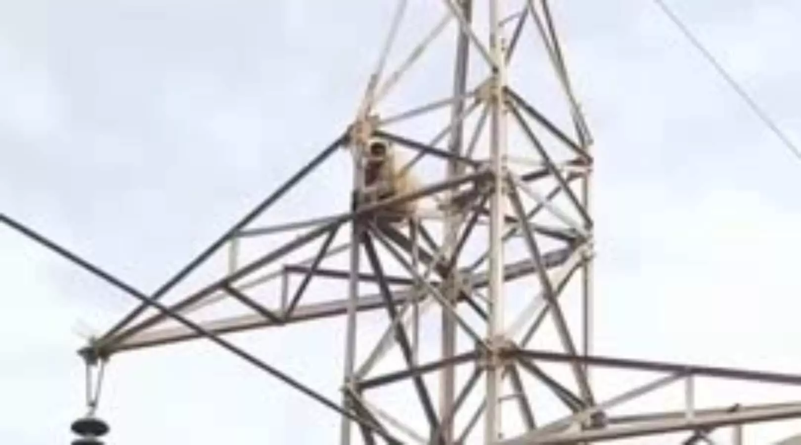 monkey climbed on tower could not get down up to 3 days 2 hours rescue operation in rewa
