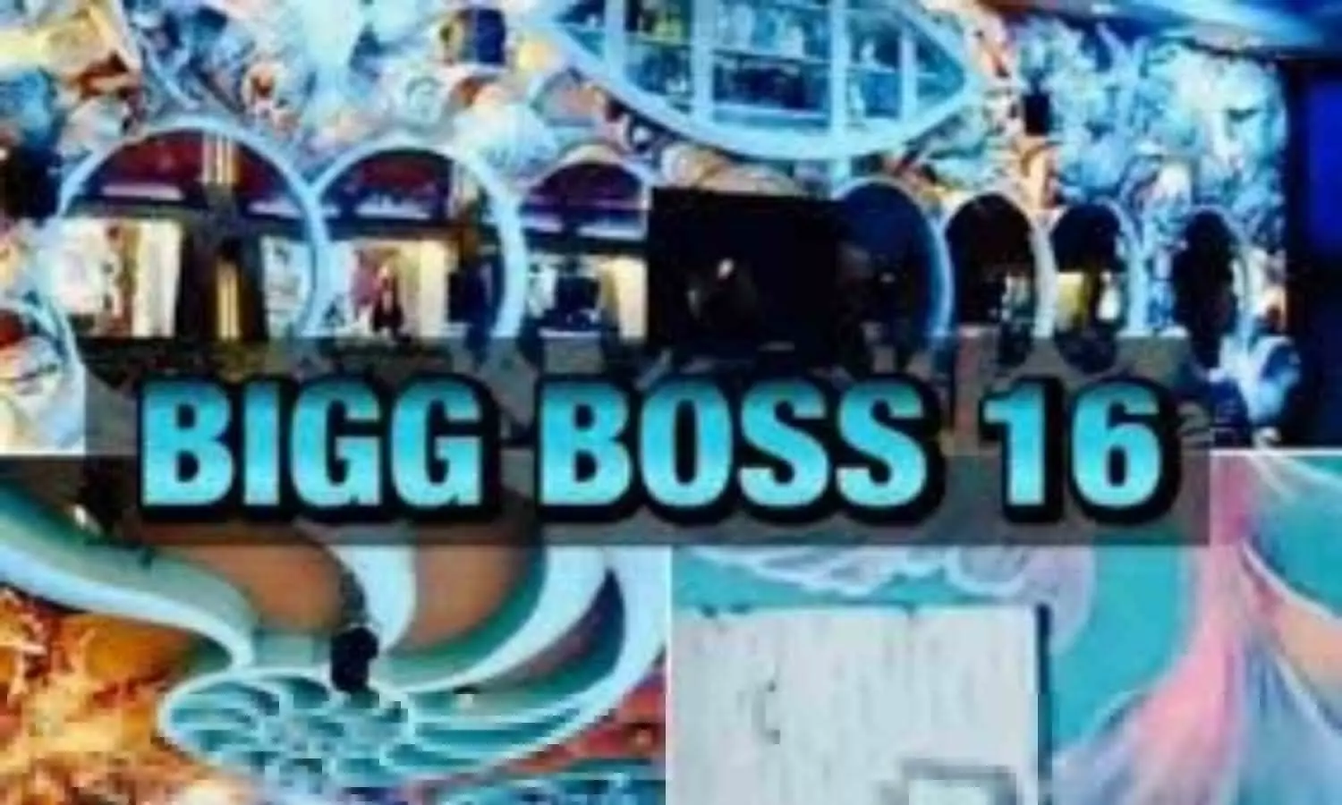 Bigg Boss 16 Final Contestant List