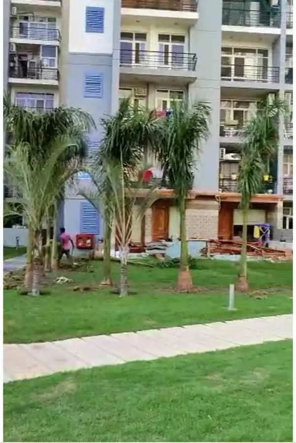palm tree planted outside of shrikant tyagi house in grand omaxe society anu tyagi ultimatum