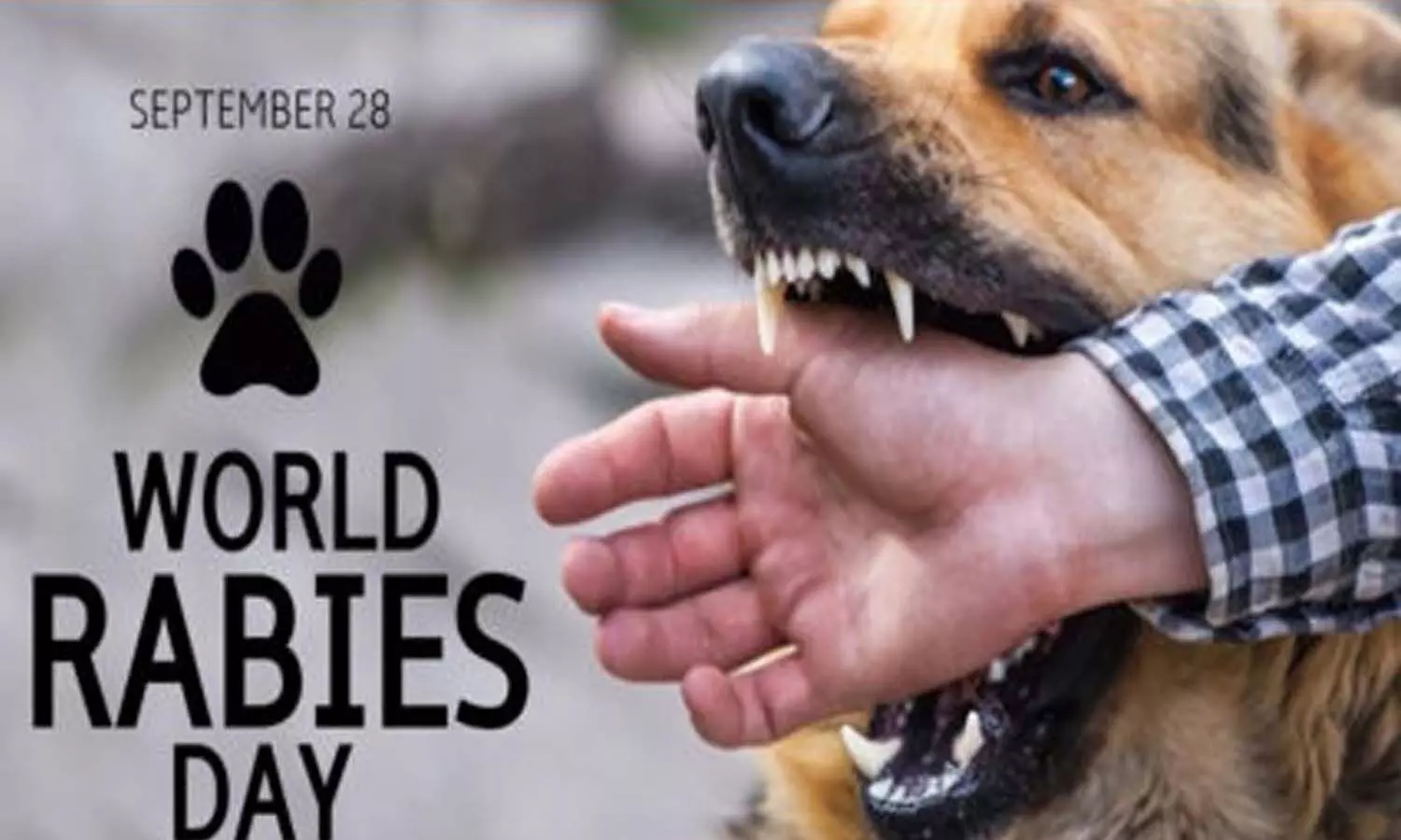 Why World Rabies Day is celebrated on 28 September, know its importance and what is the theme of this year