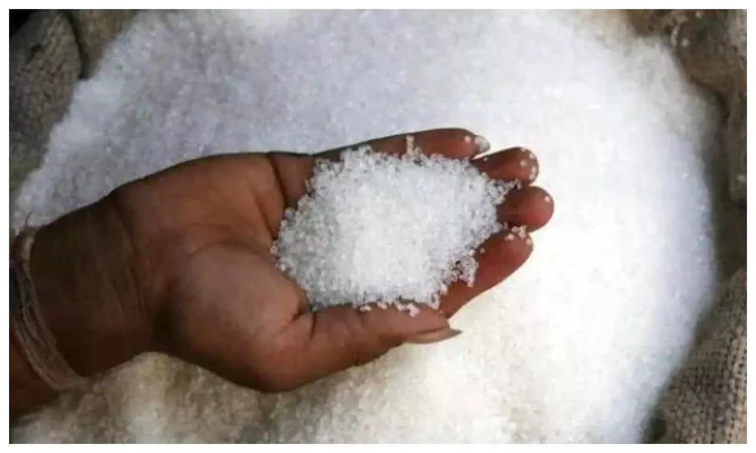 Ban on Sugar Exports