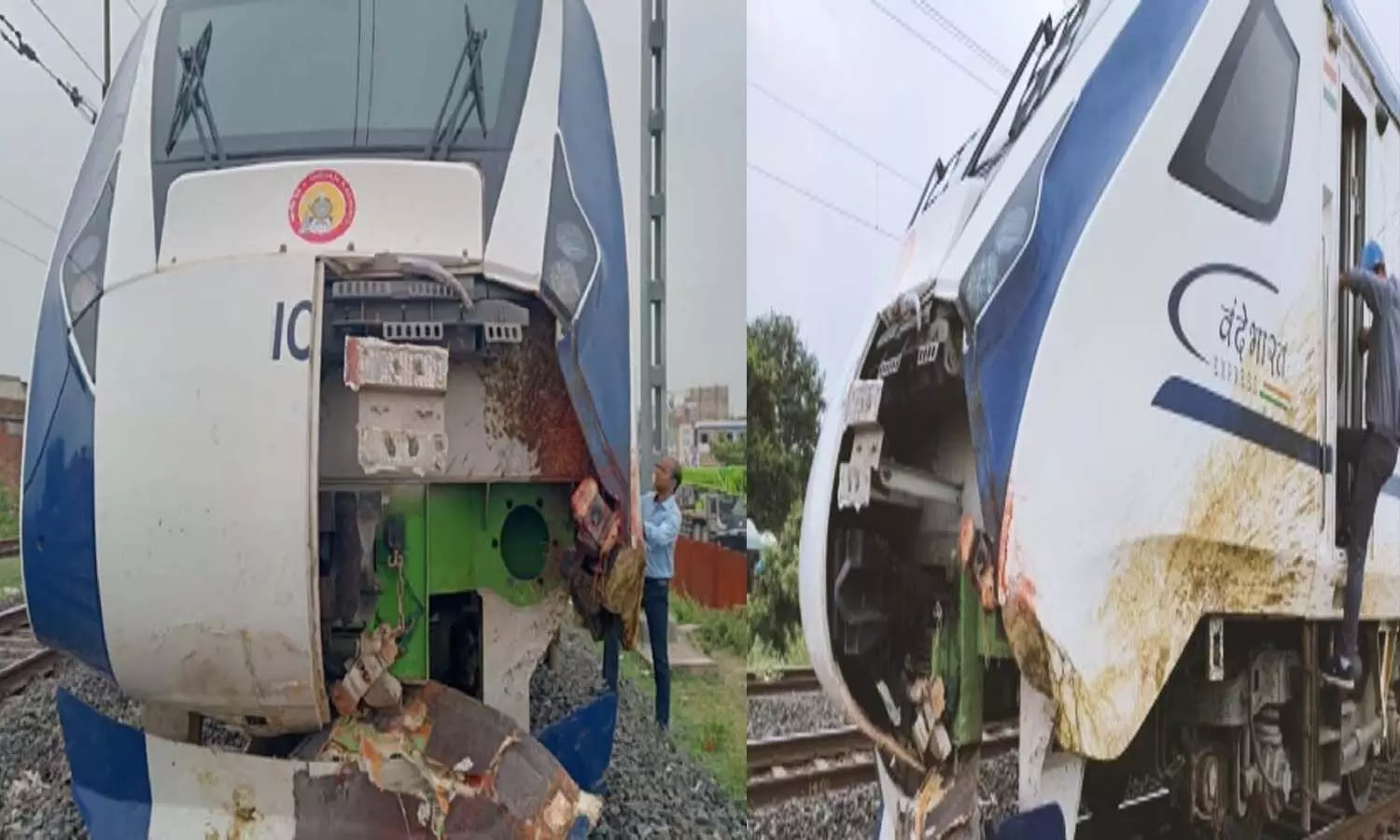 Vande Bharat Express train accident again, collides with animal near Mumbai