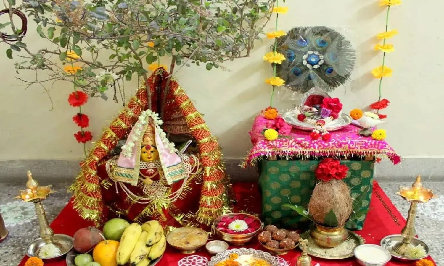 tulsi shaligram vivah