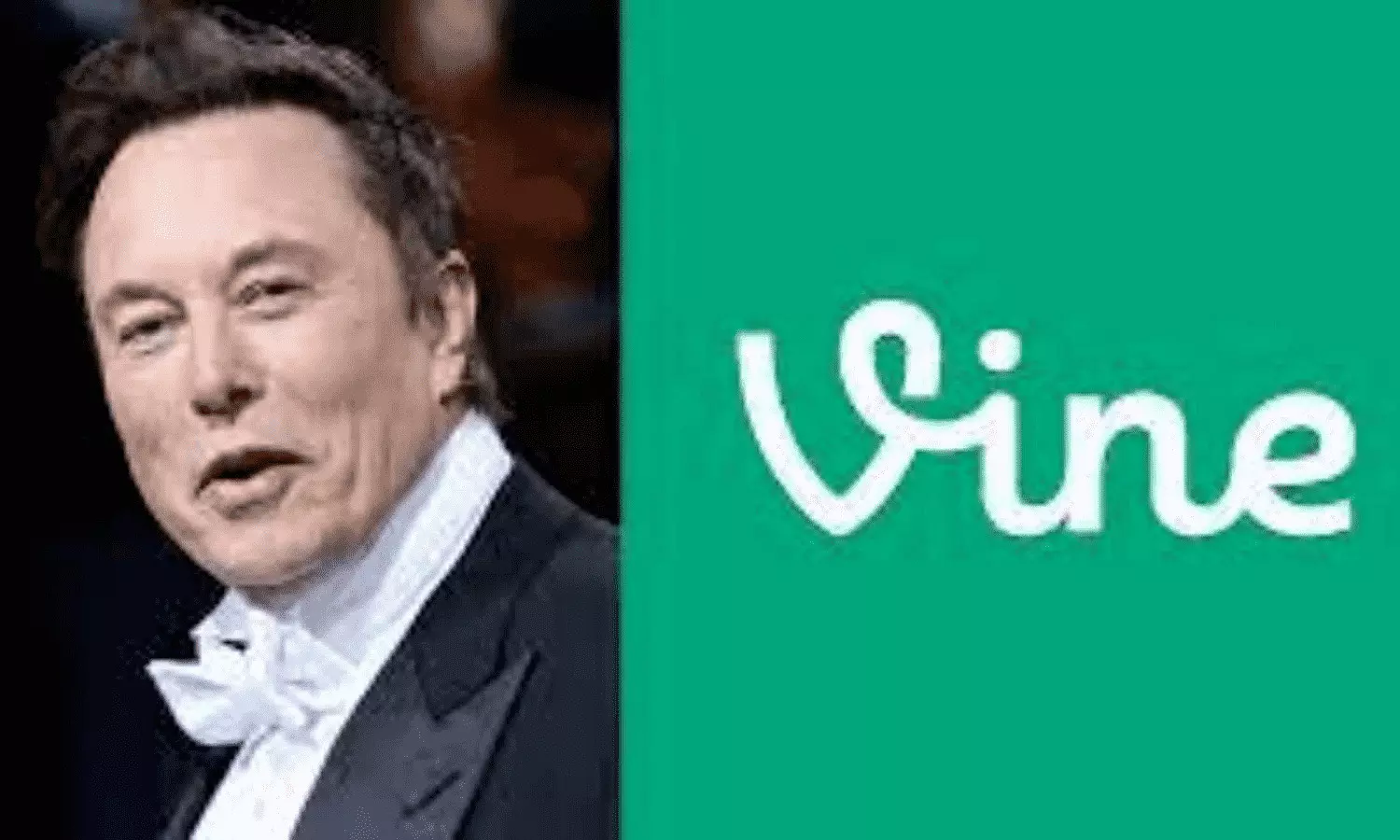 Vine App Bring Back