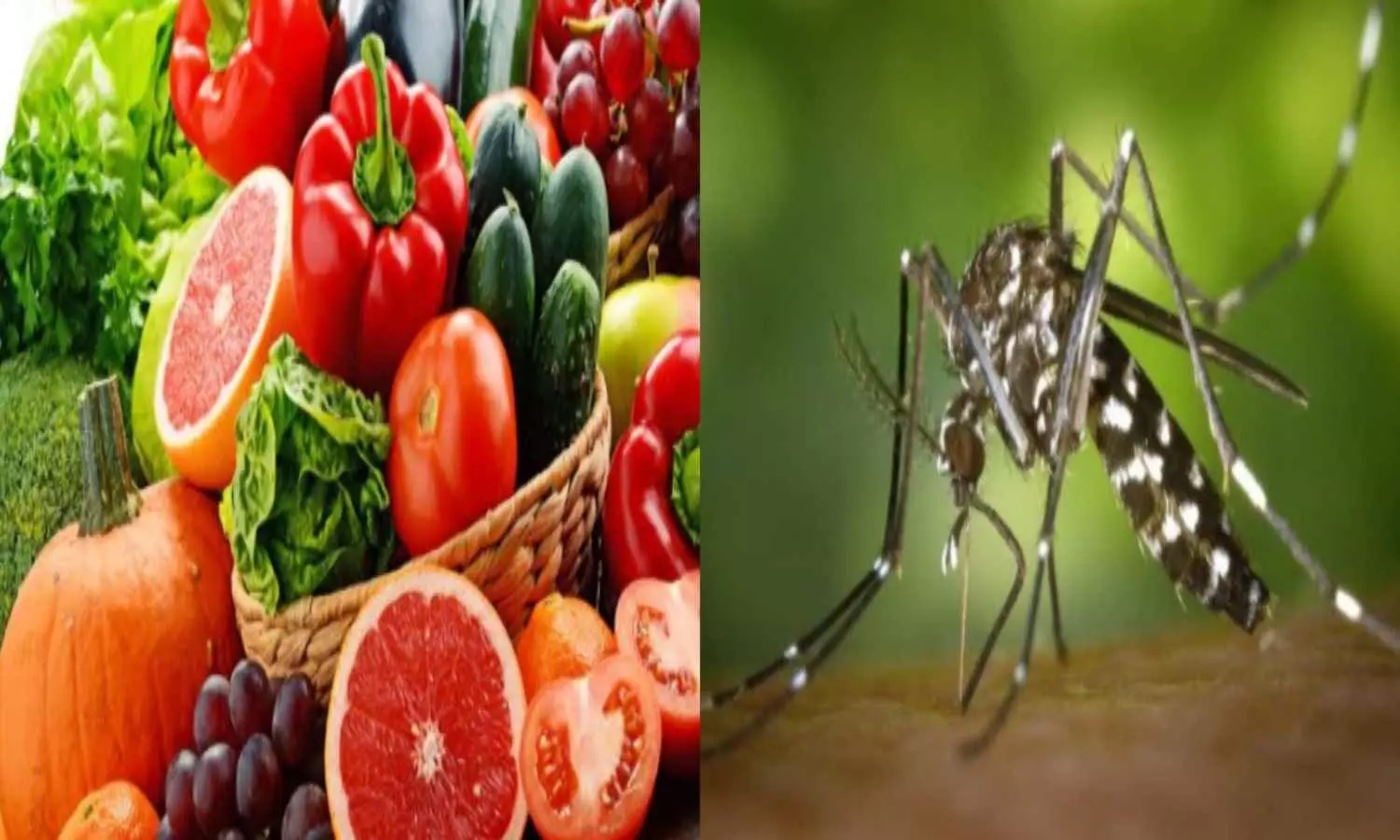 Foods to avoid in Dengue