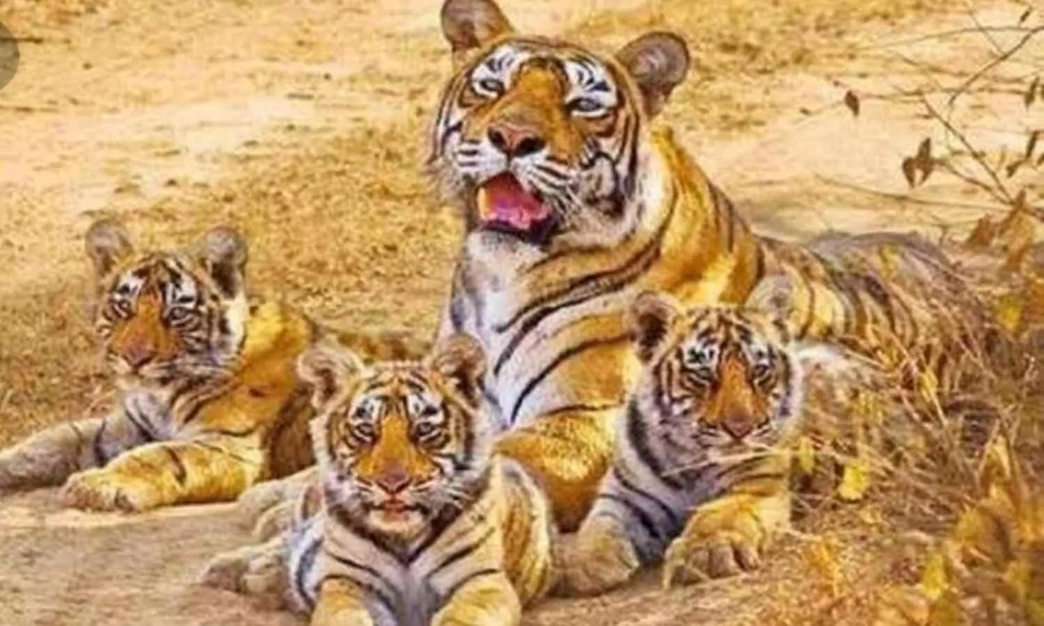 UP Ranipur Tiger Reserve