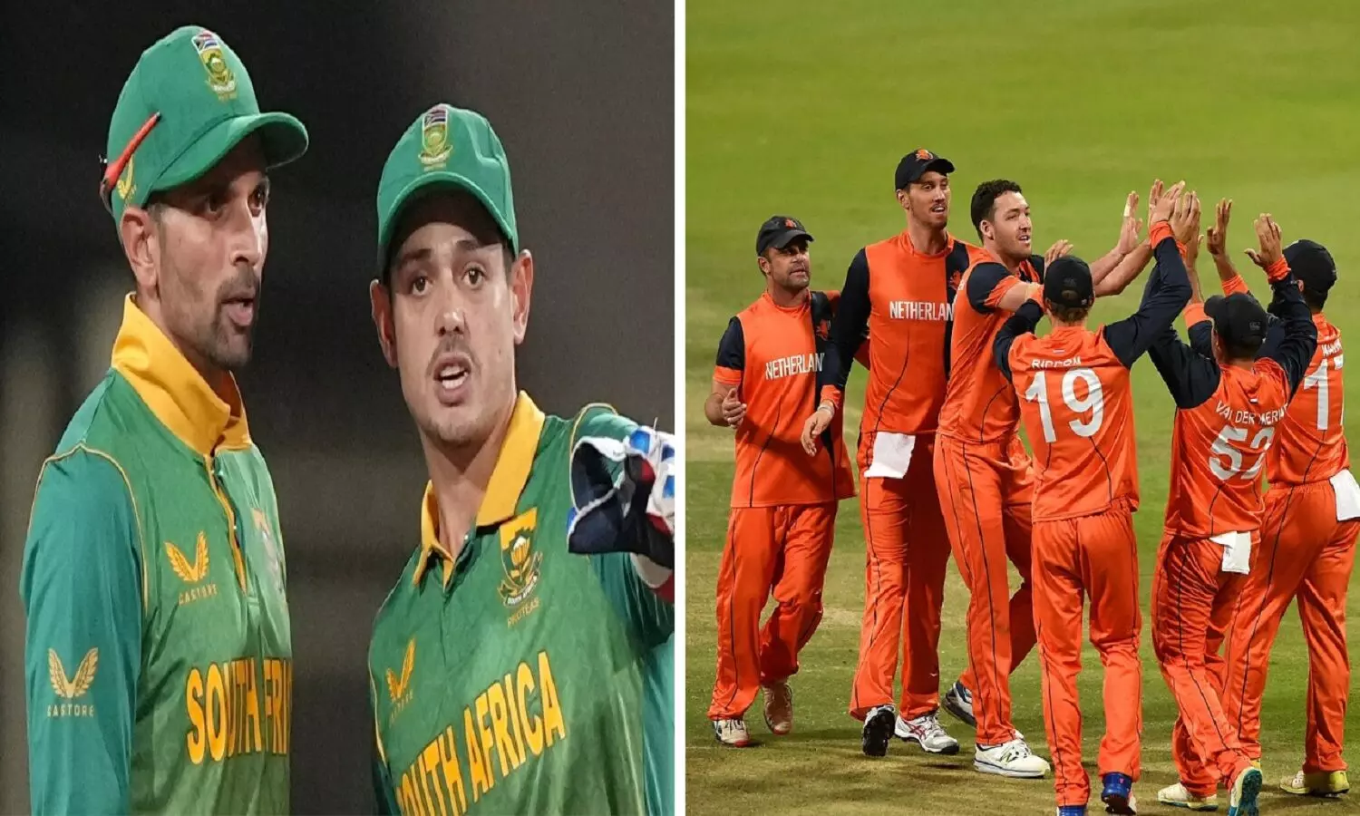 T20 WC 2022 SA vs NED