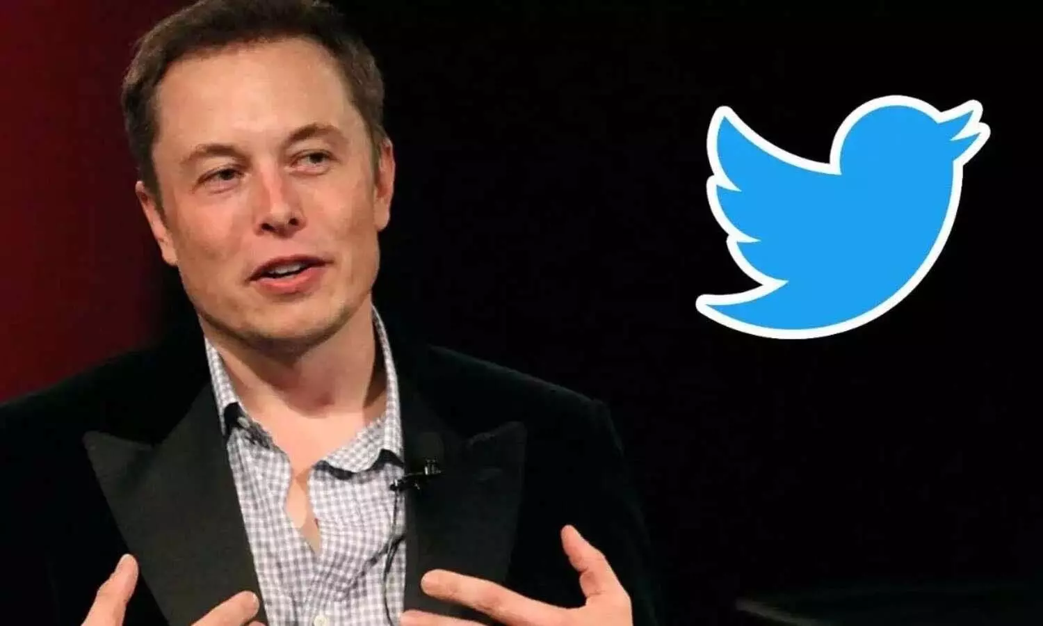 Musk will earn big money from India, Indians are at number three in the world on Twitter