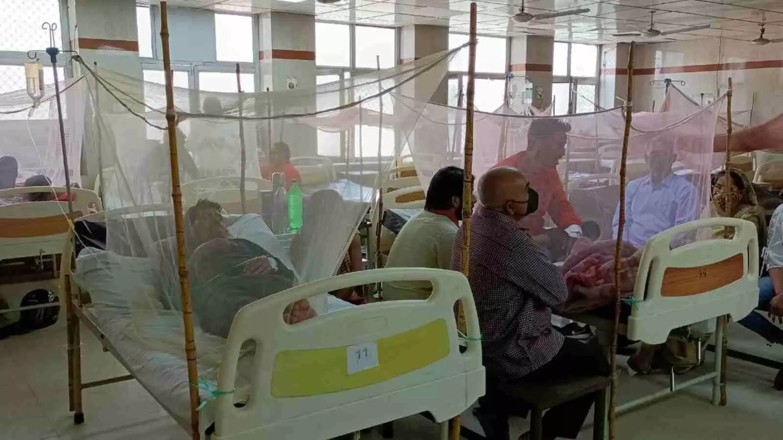 dengue chikungunya patients case increase in uttar pradesh lucknow noida prayagraj barabanki