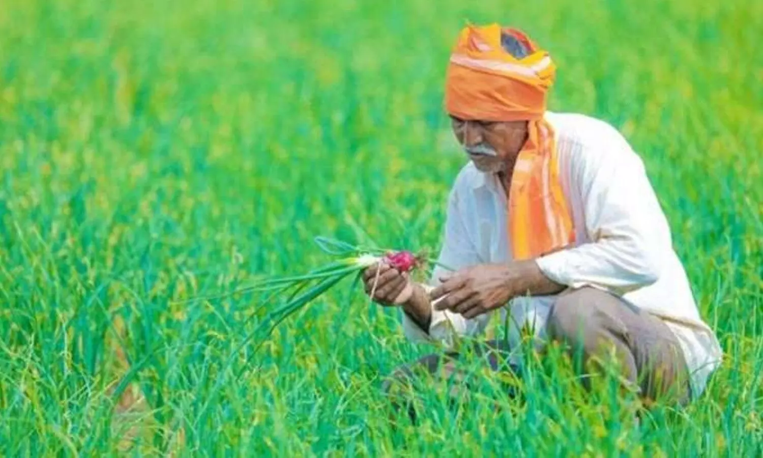 pm kisan