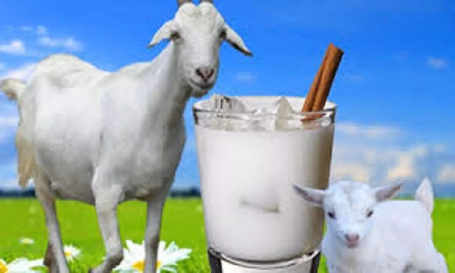 Goat Milk Benefits