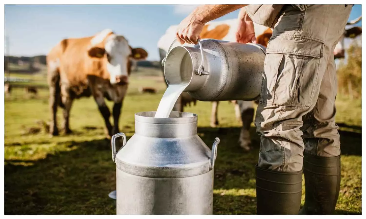 How To Plan Dairy Business