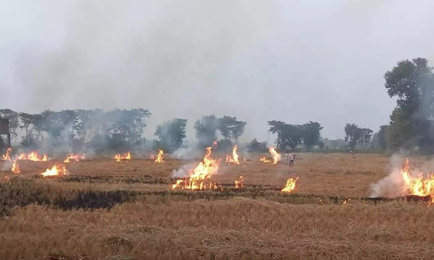 Ballia Administrative action against farmers who burn stubble