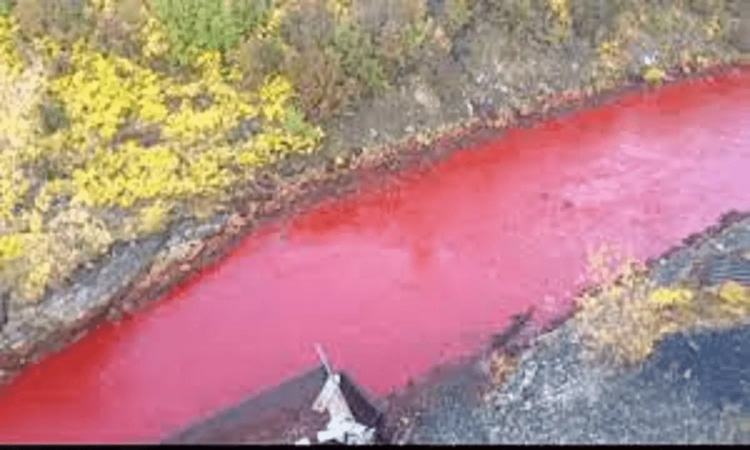 Blood River In Peru