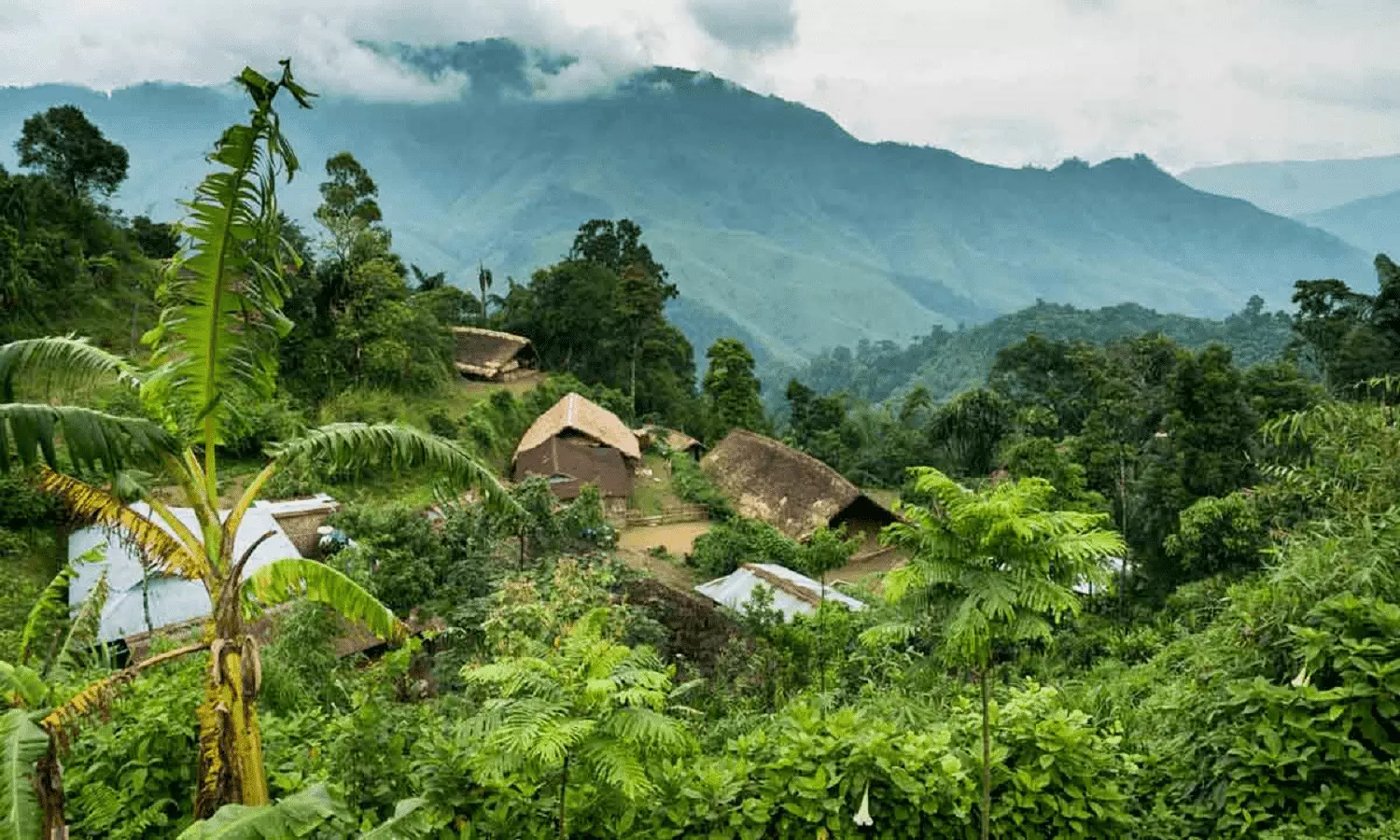 Nagaland Longwa Village