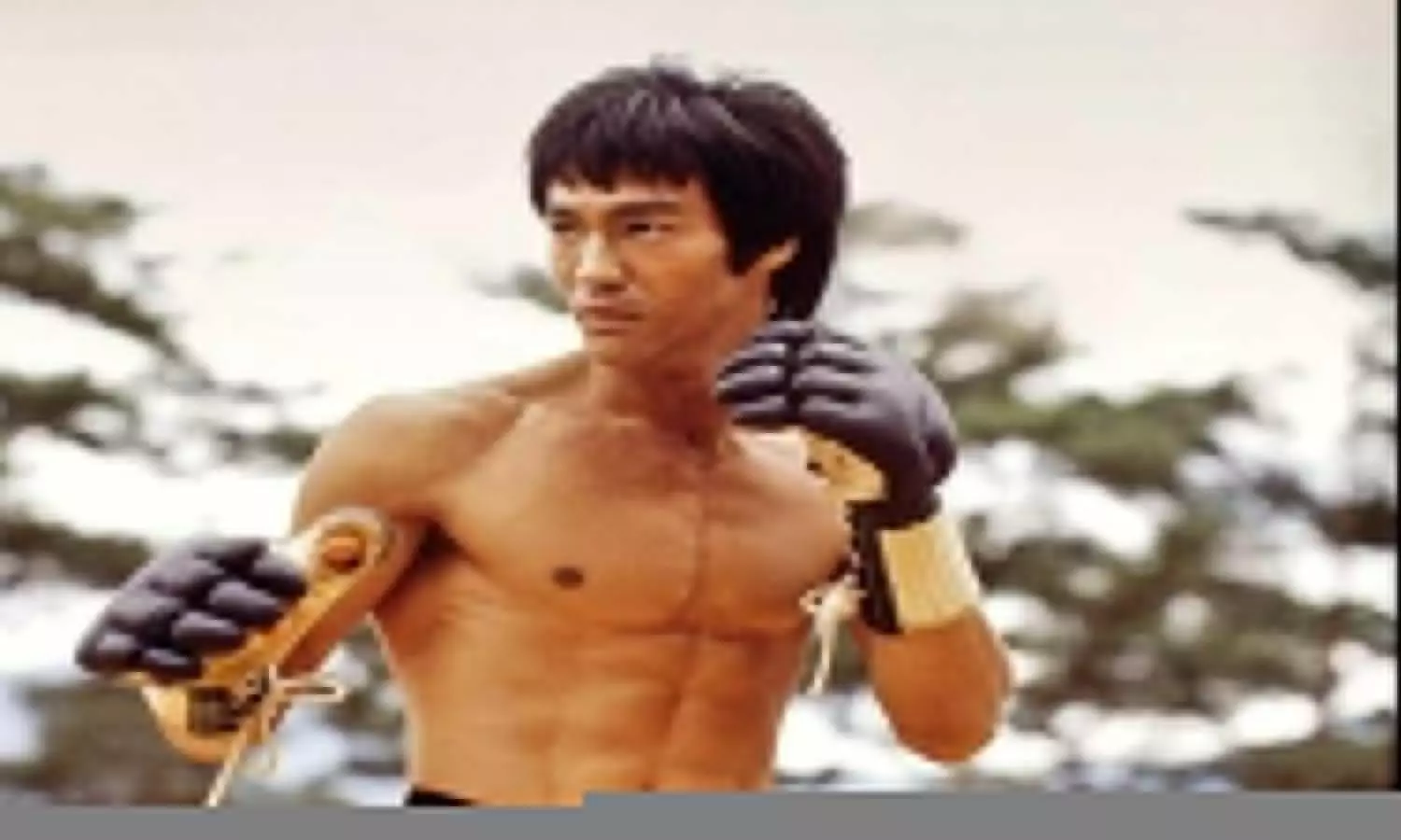 Bruce Lee death mystery resolved