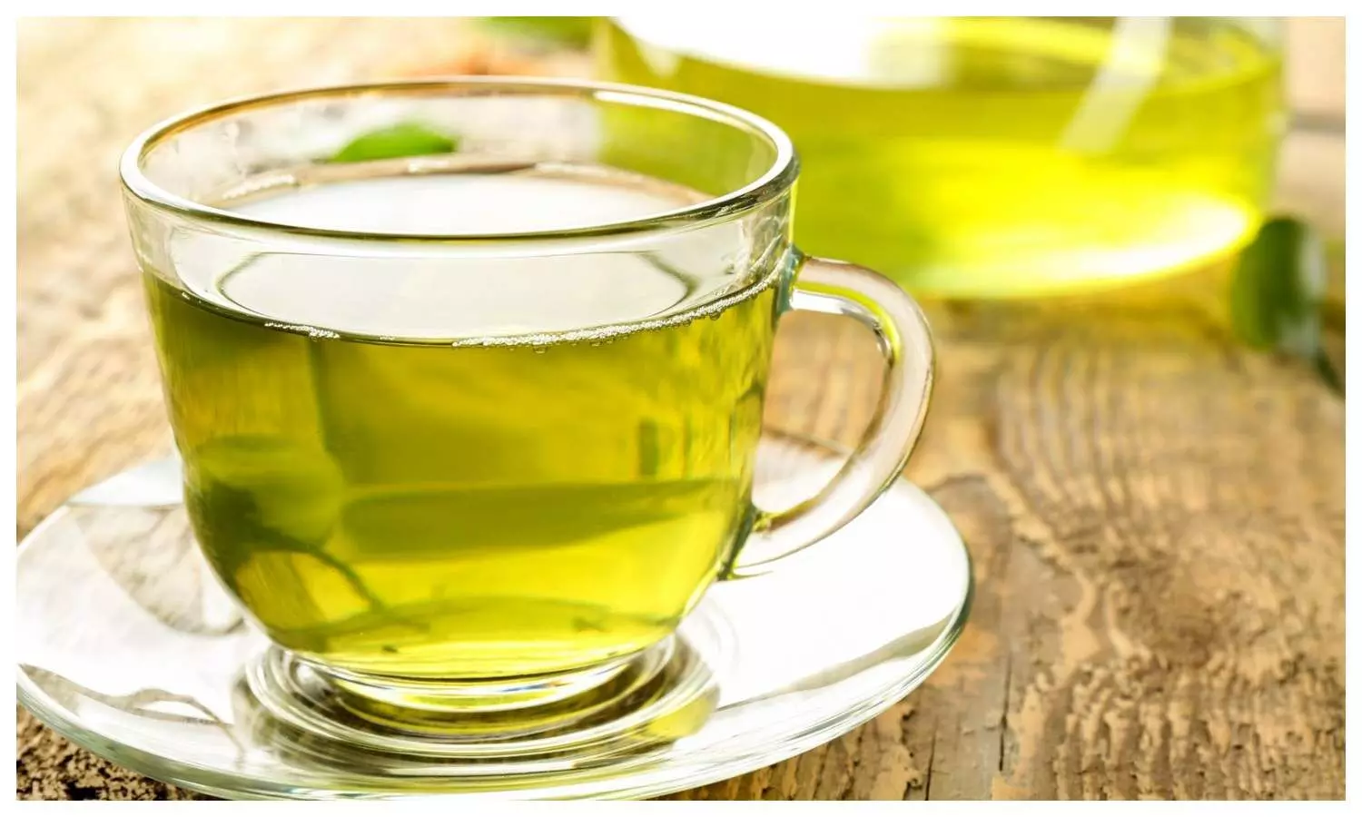 Green tea for Weight loss