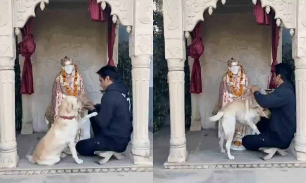 Sonu Sood Video: मंदिर में सोनू सूद और क्यूट डॉग का वीडियो हुआ वायरल, करोड़ों लोग देख रहे इस प्यारे मोमेंट को