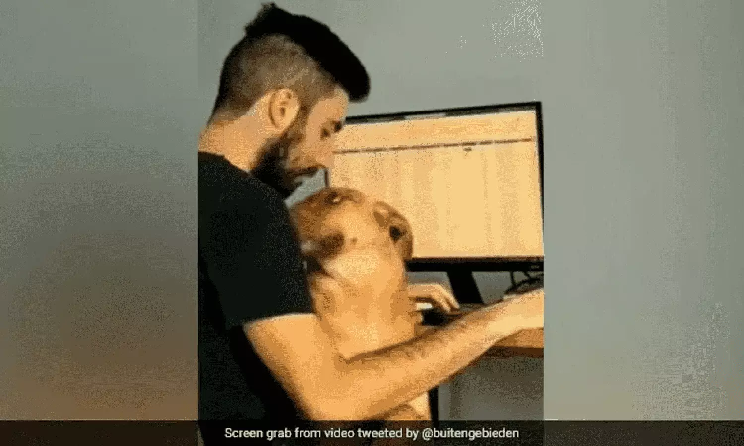 Dog Viral Video