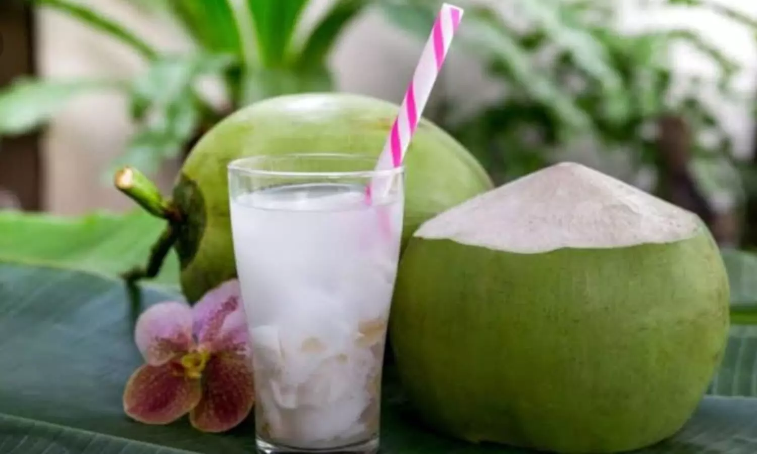 Coconut water disadvantages