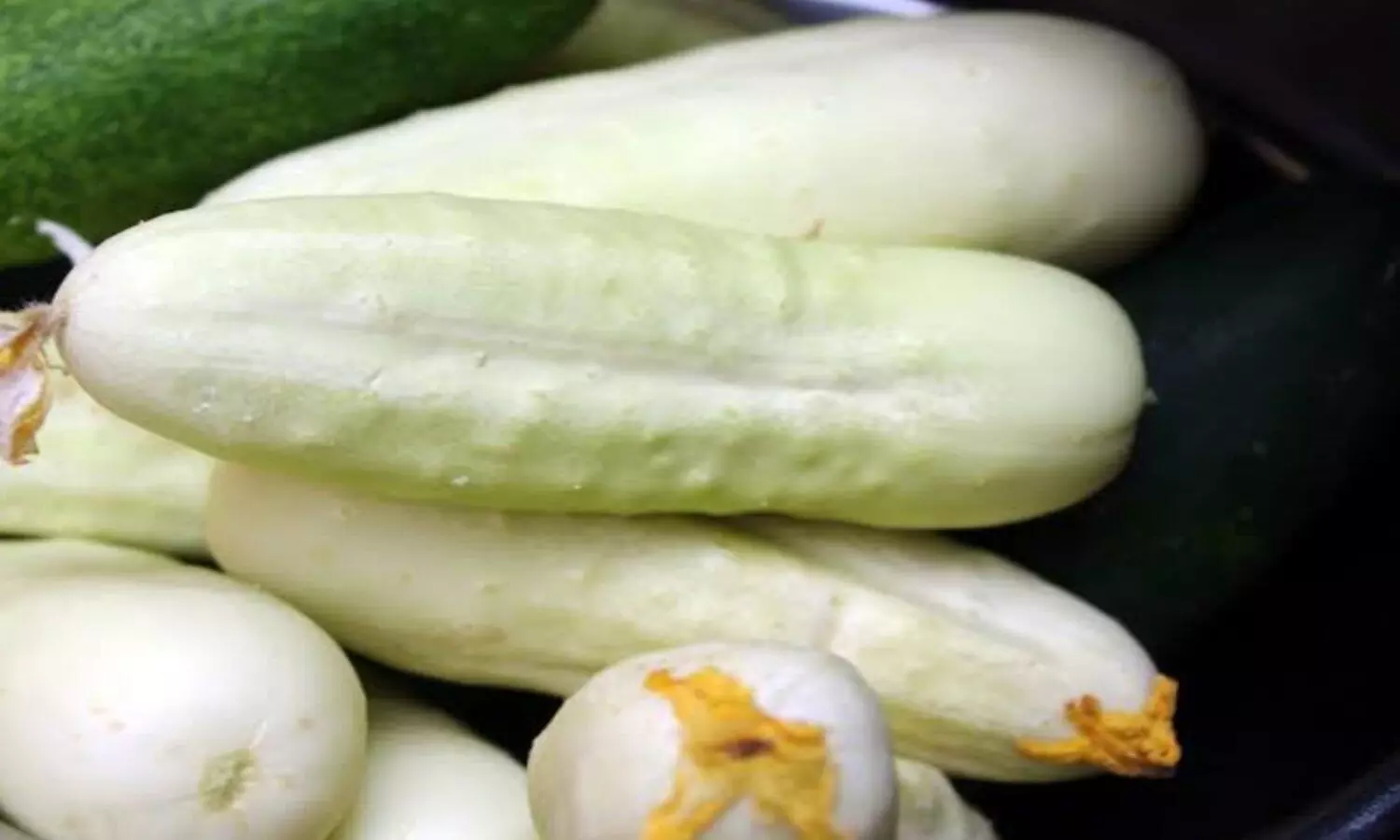 Advantage of white Cucumber